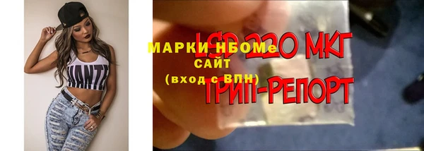 дмт Армянск