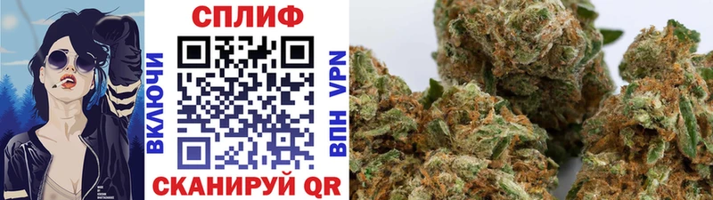 Конопля гибрид купить закладку Калачинск